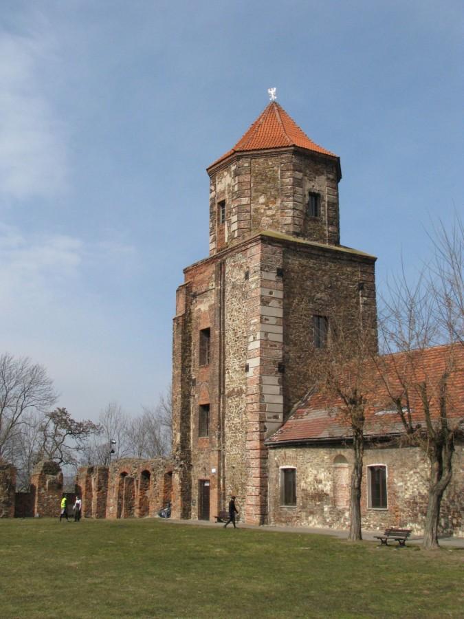 Zamek w Toszku