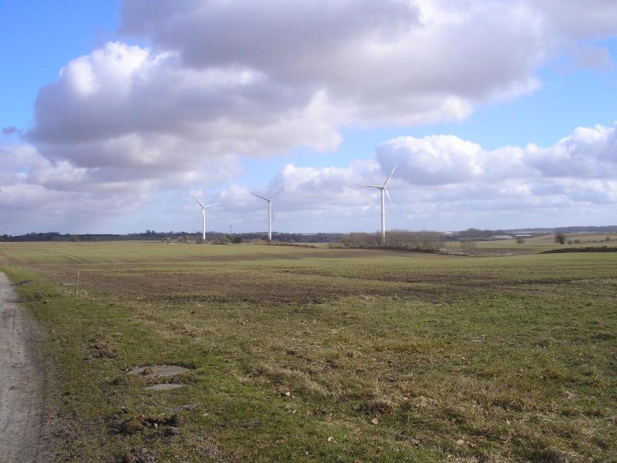 Turbiny wiatrowe w rejonie Hvejsel, Jutlandia, Dania.