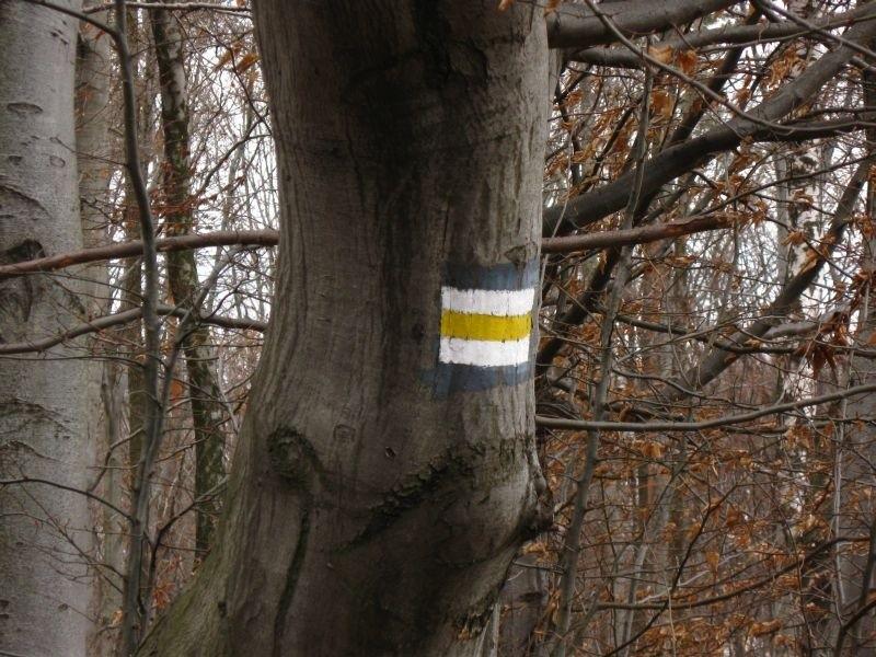 Na początek szlak żółty.
