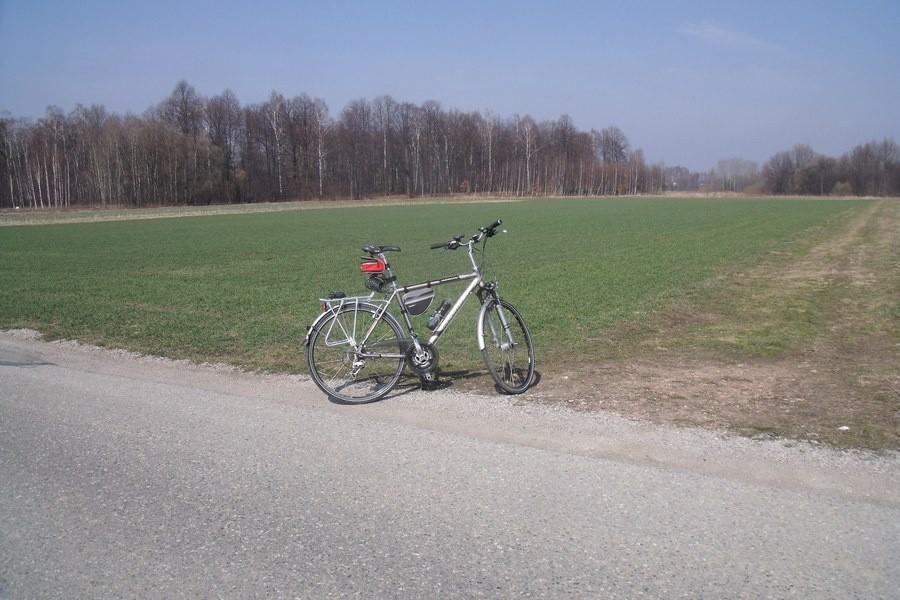 Pola się zazieleniły