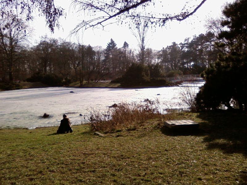 Topniejący staw w parku