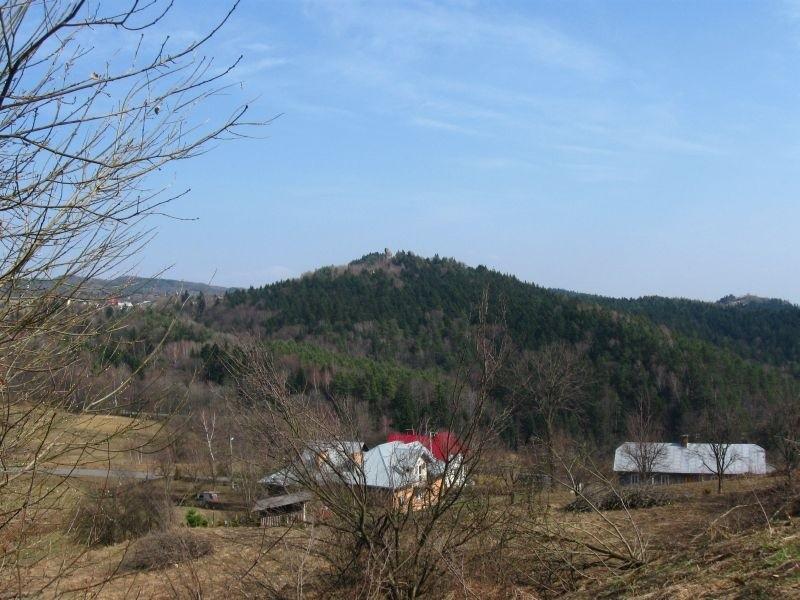 Widok na Rezerwat spod Zamku.