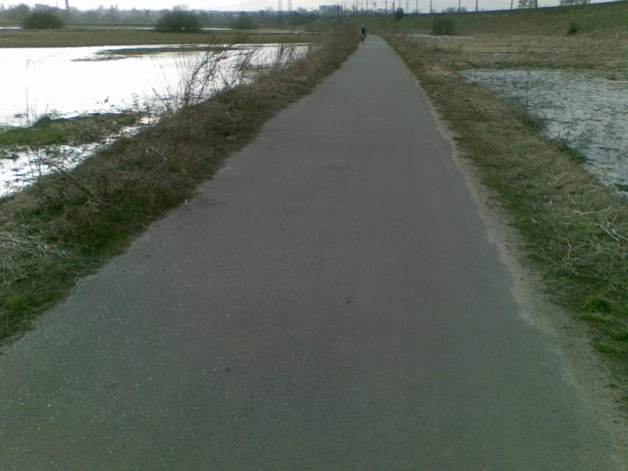 Ścieżka rowerowa w Kaliszu - ścieżka bursztynowa