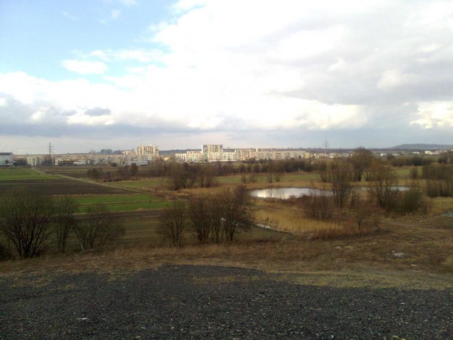 manhattanskie pola ;)
