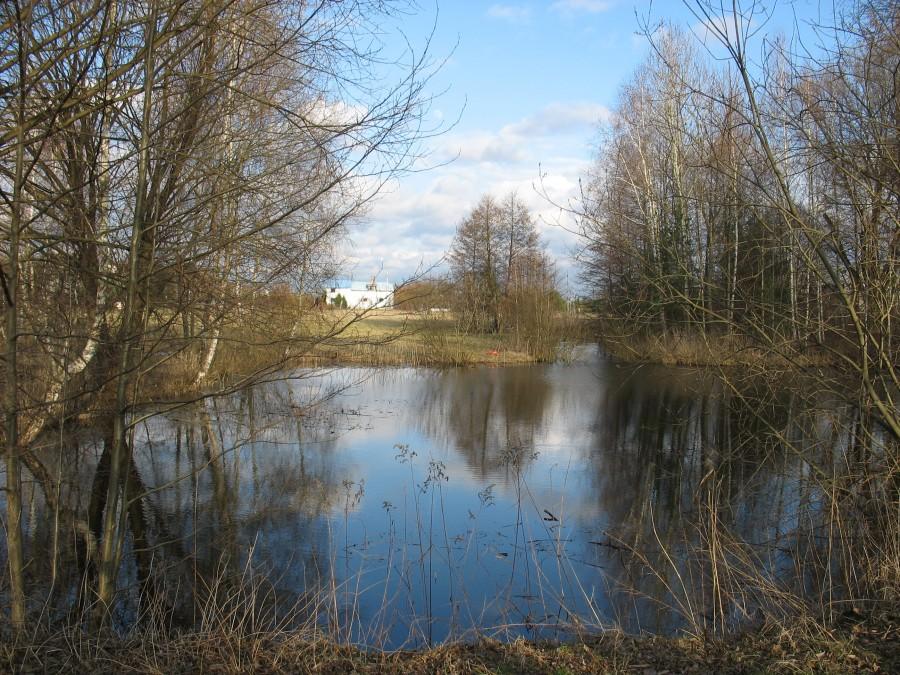 Wilcza góra - staw