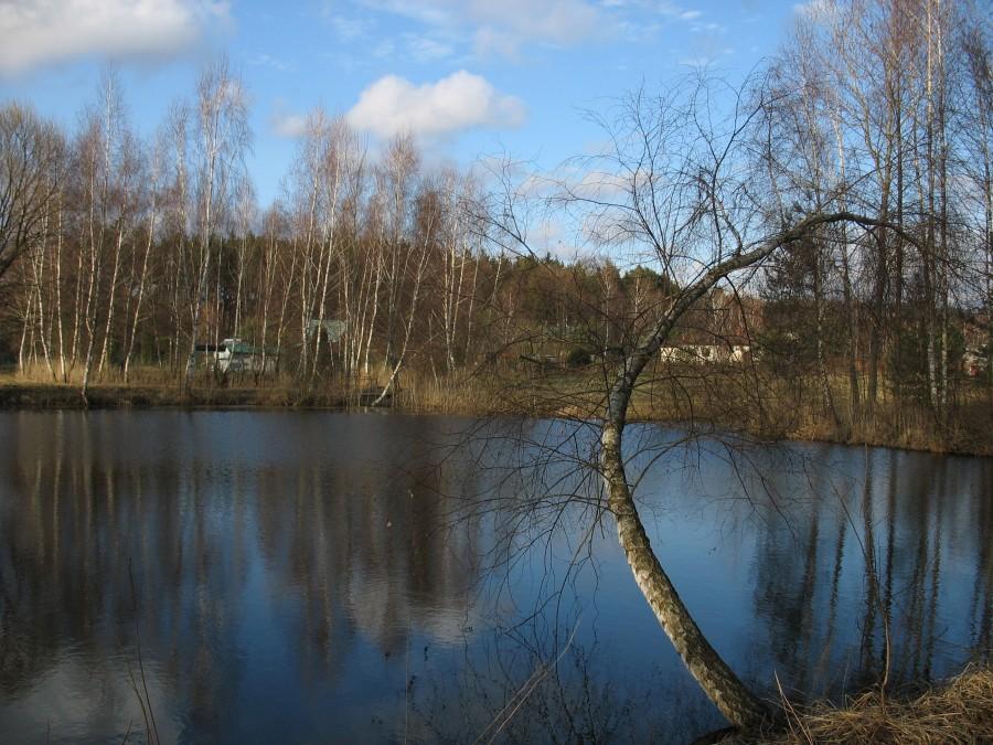 Wilcza Góra - staw