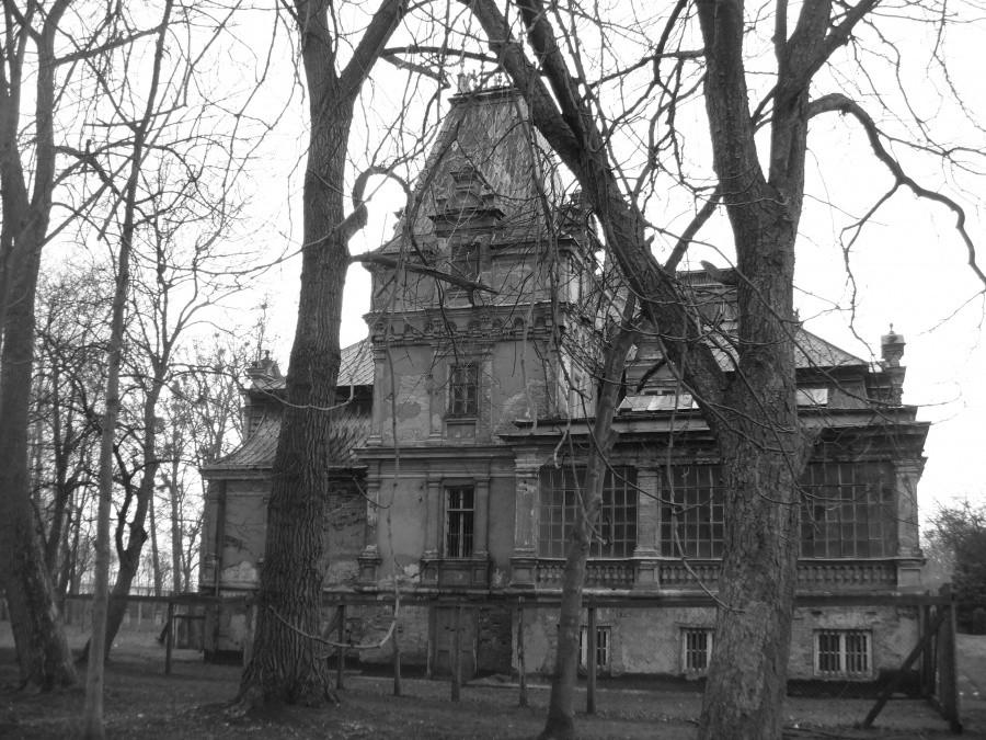Guzów