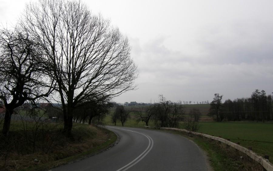 Wielkopolski krajobraz