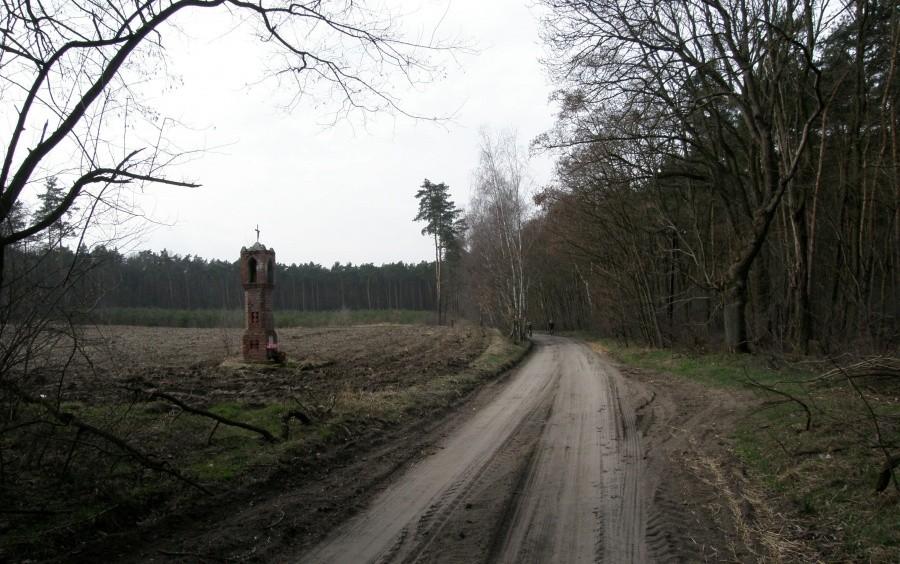 Trasa MTB Marathon - Dolsk