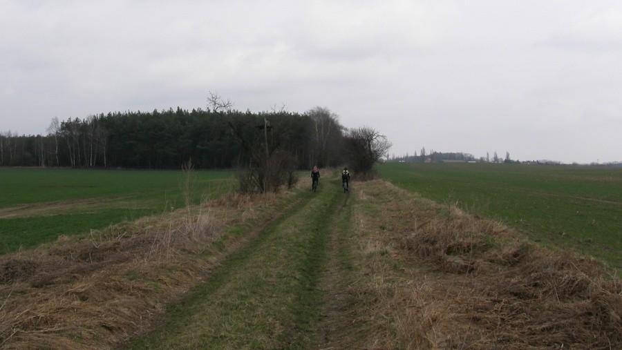 Po trawie