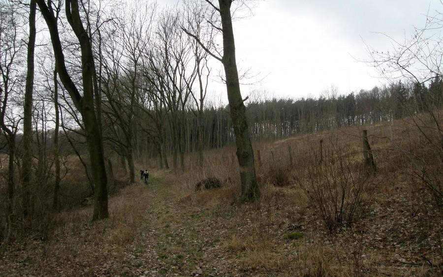 Teren wśród pagórków
