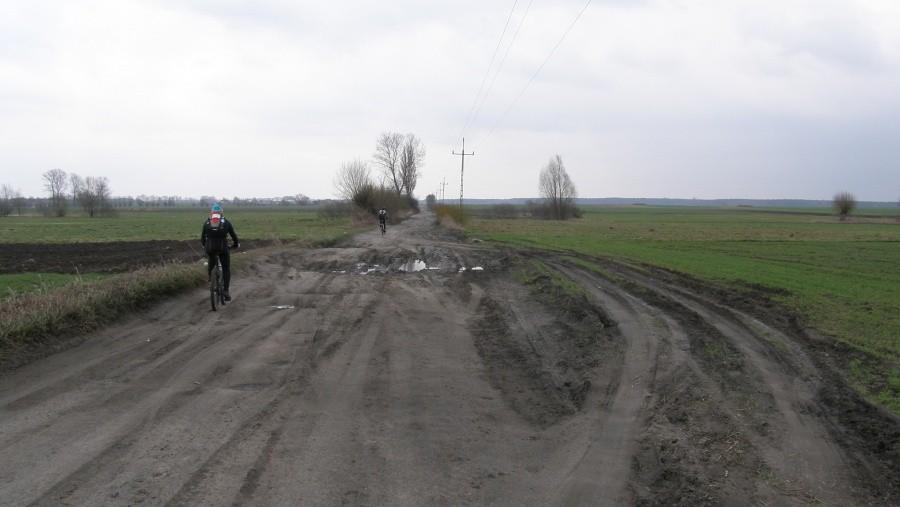 Wsród pól