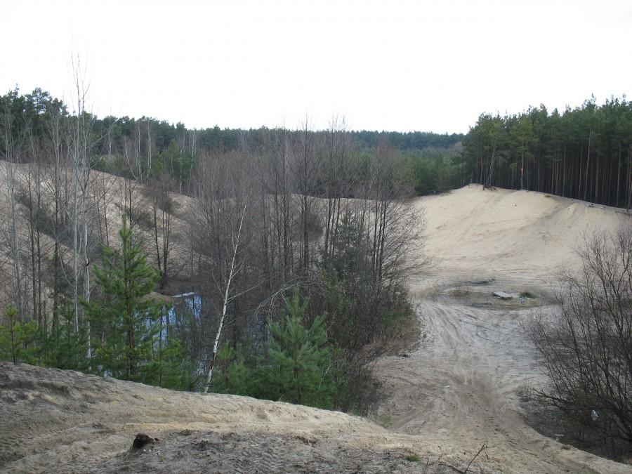 Czarnów - wyrobisko d. piaskarni
