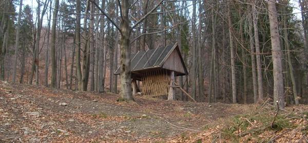 Paśnik