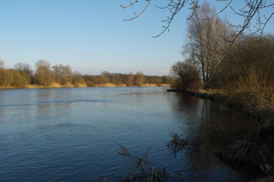Odra w okolicy trestna