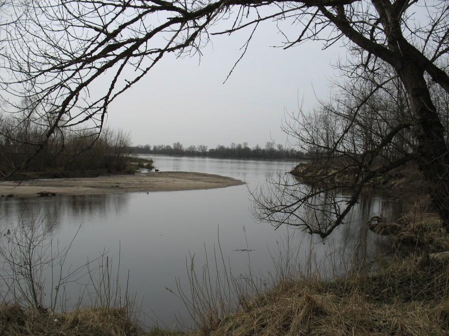 Ujście Świdra do Wisły