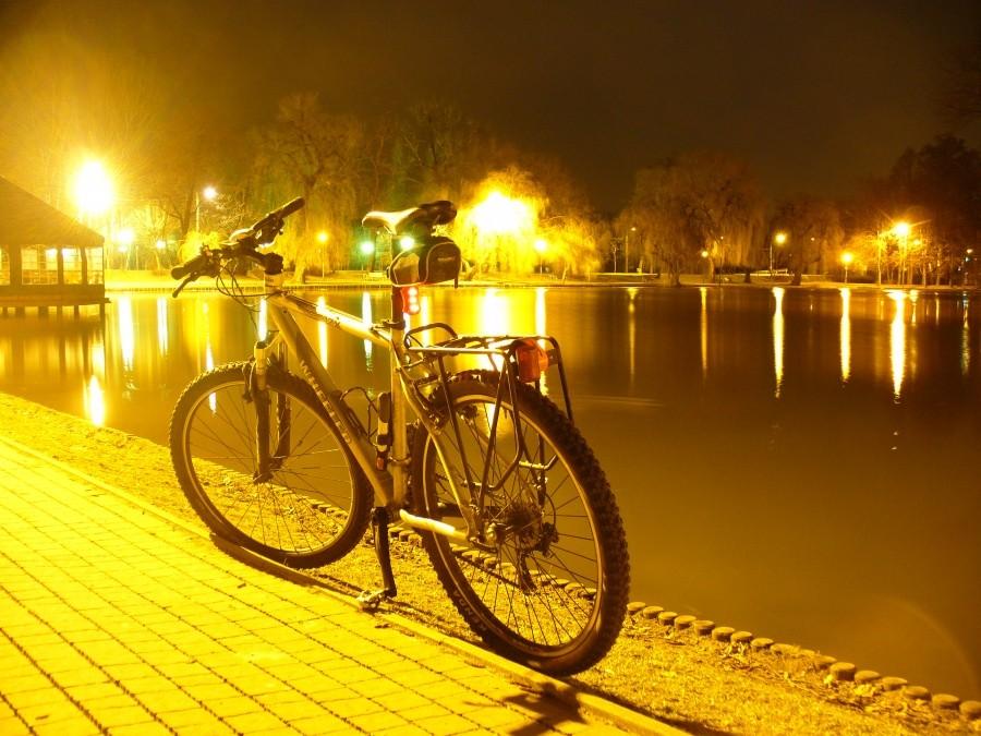Park potulickich - Pruszków