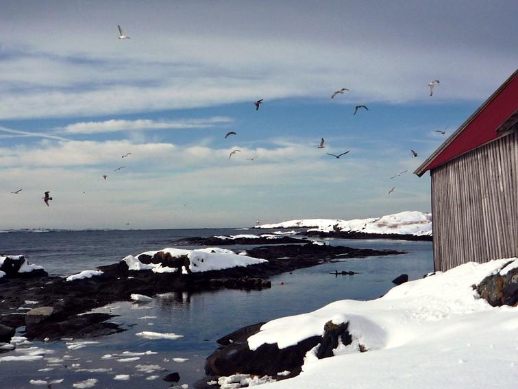 Kvalsvik
