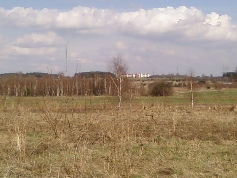 Bloki na wzgórzu