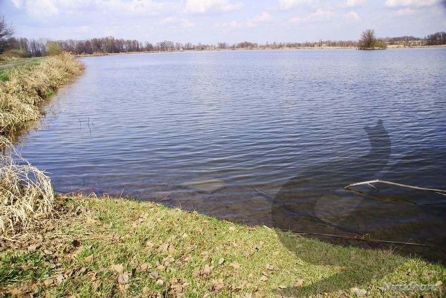 wszędzie pusto