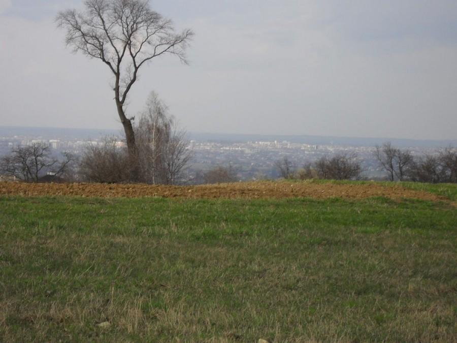 Rzeszów ze wzgórza..
