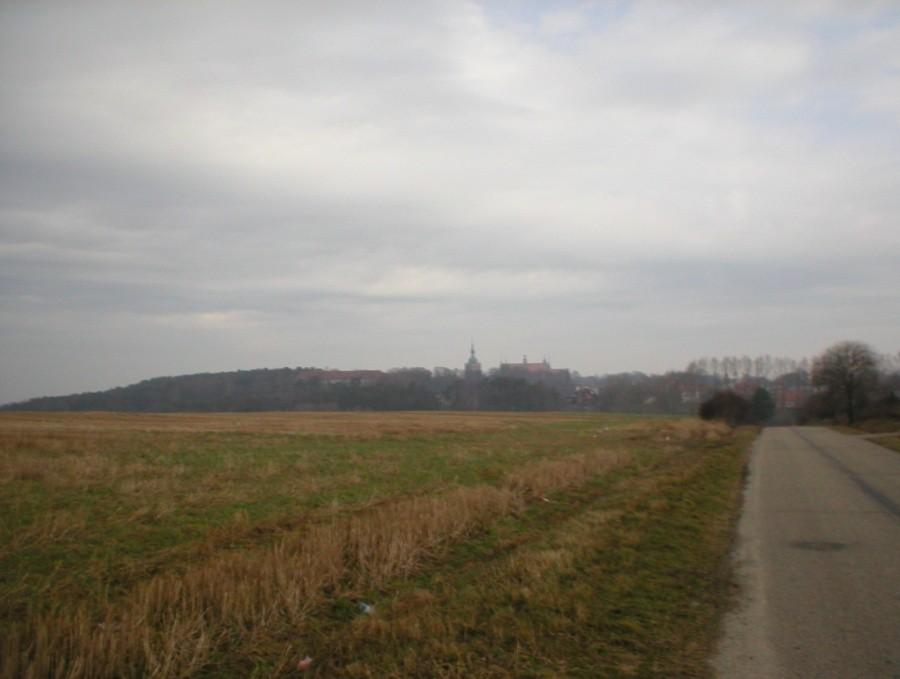 FROMBORK NA HORYZONCIE