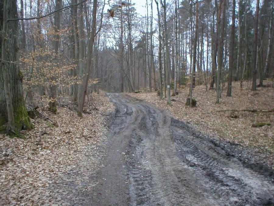 PRZED CHOJNOWEM- SZLAK R-64 ,,NADZALEWOWY''