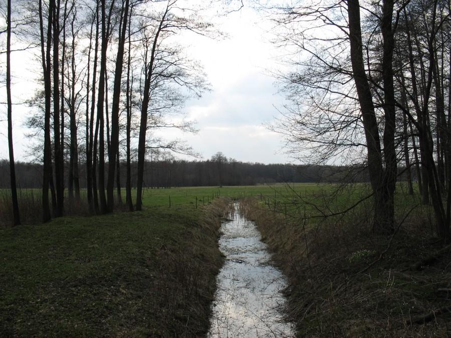 Źródlisko rzeki Utraty