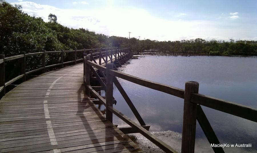 Ścieżka rowerowa w Boondall Wetlands