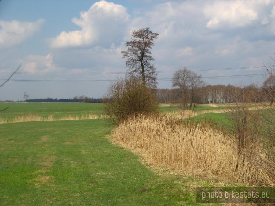 kierunek gyrotowice