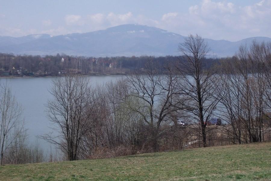 Widoczek