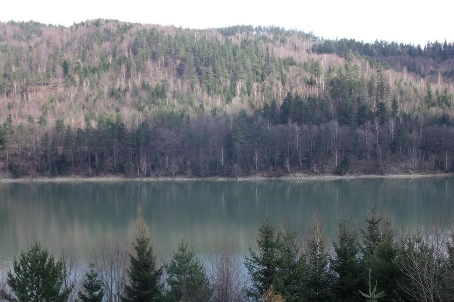 Widoczek