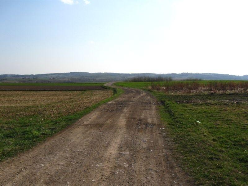 W stronę Niechobrza.