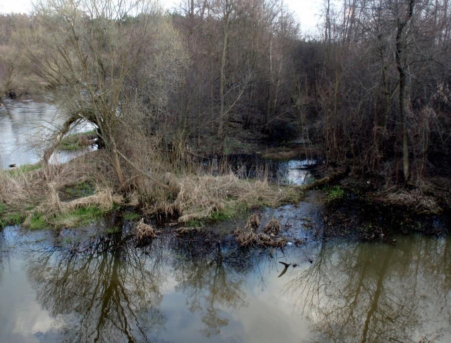 Warta w Ważnych Młynach