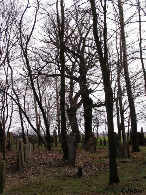 Kirkut w Wielowsi
