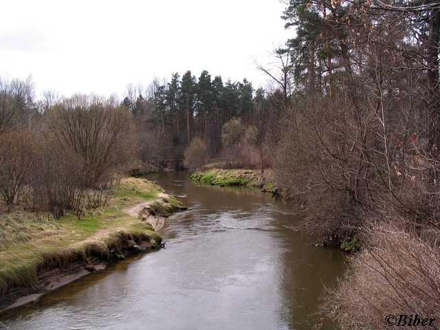 Mała Panew w Krupskim Młynie - widok z mostu