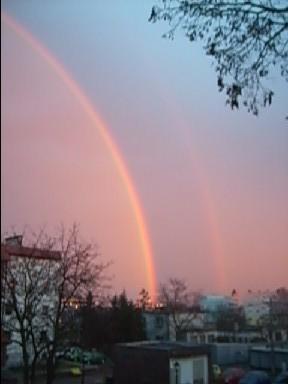 Wielkanocna różowa tęcza