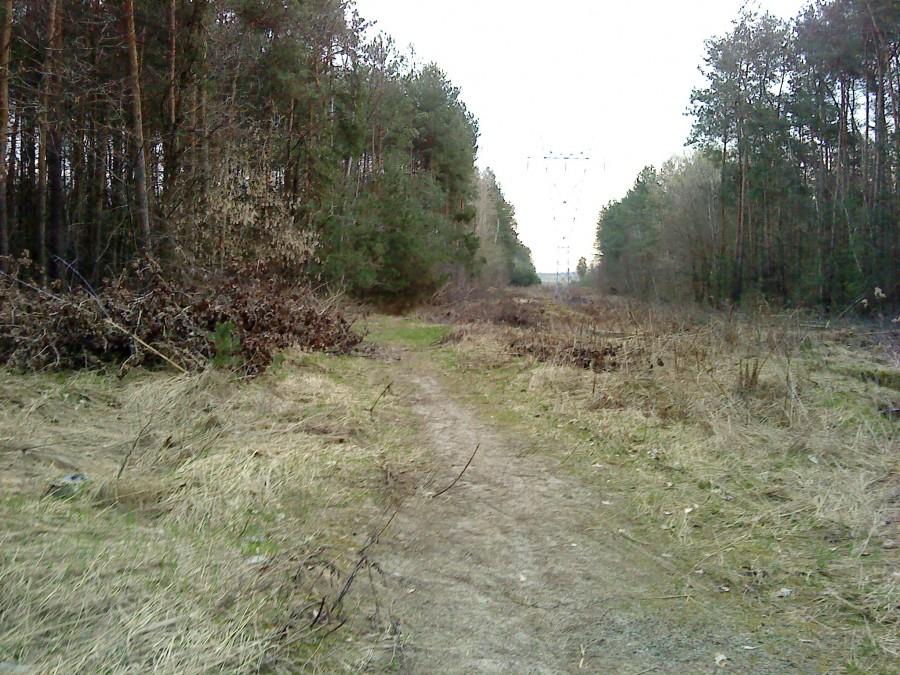 Ulubiona ścieżka