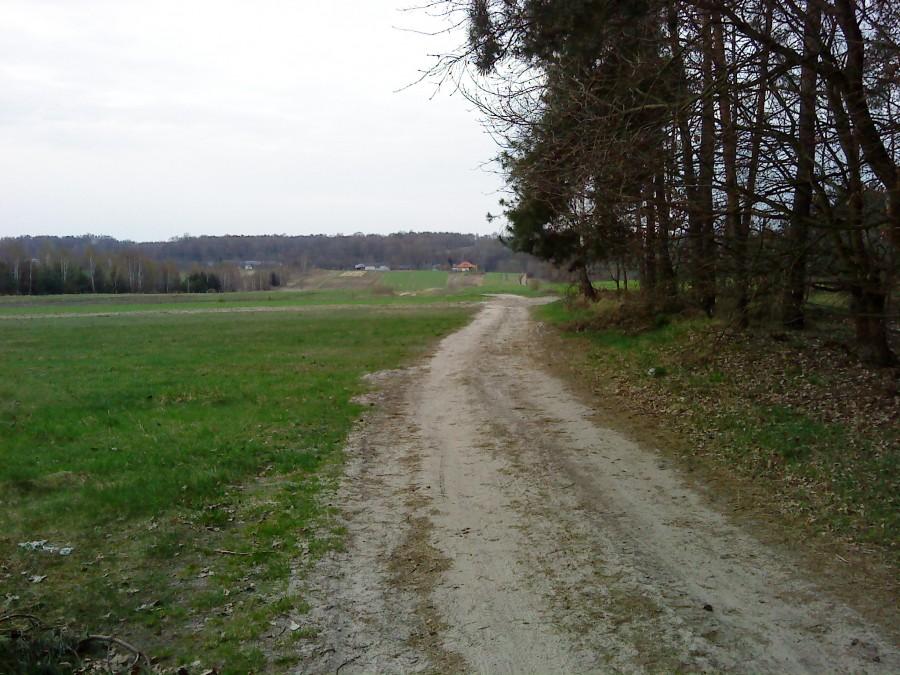 Widok na Skowieszyn