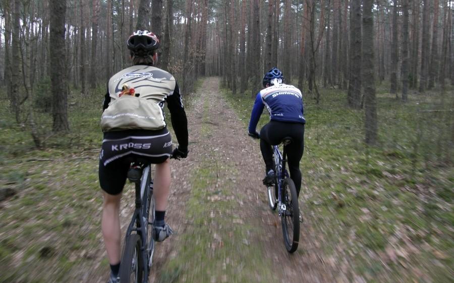 Ekipa na trasie w lesie