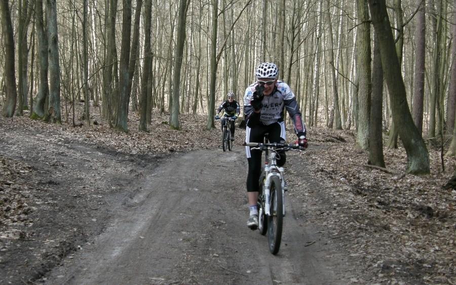 Bikerzy na leśnej szosie