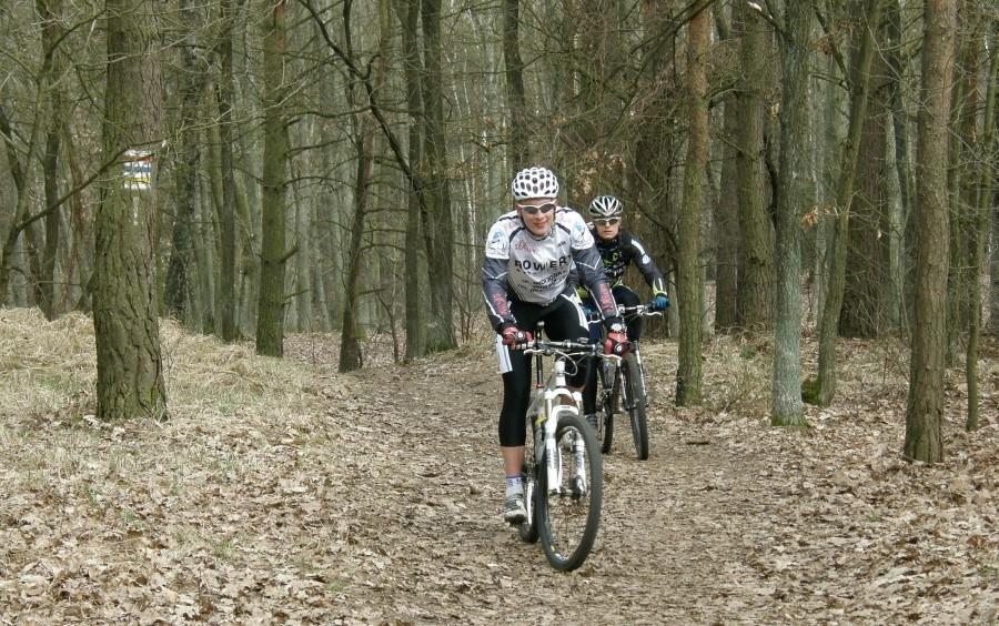 Bikerzy na trasie w lesie