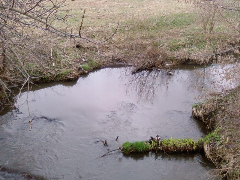 Ner po raz drugi