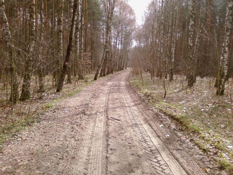 Przez las