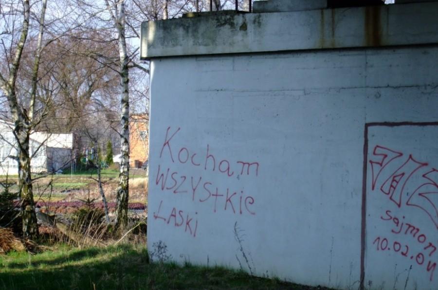 Kocham wszystkie laski