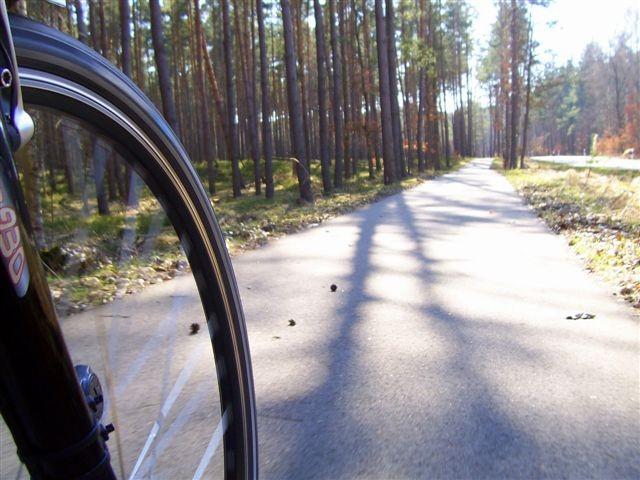 Ścieżka między Hintersee a Glasshuette.