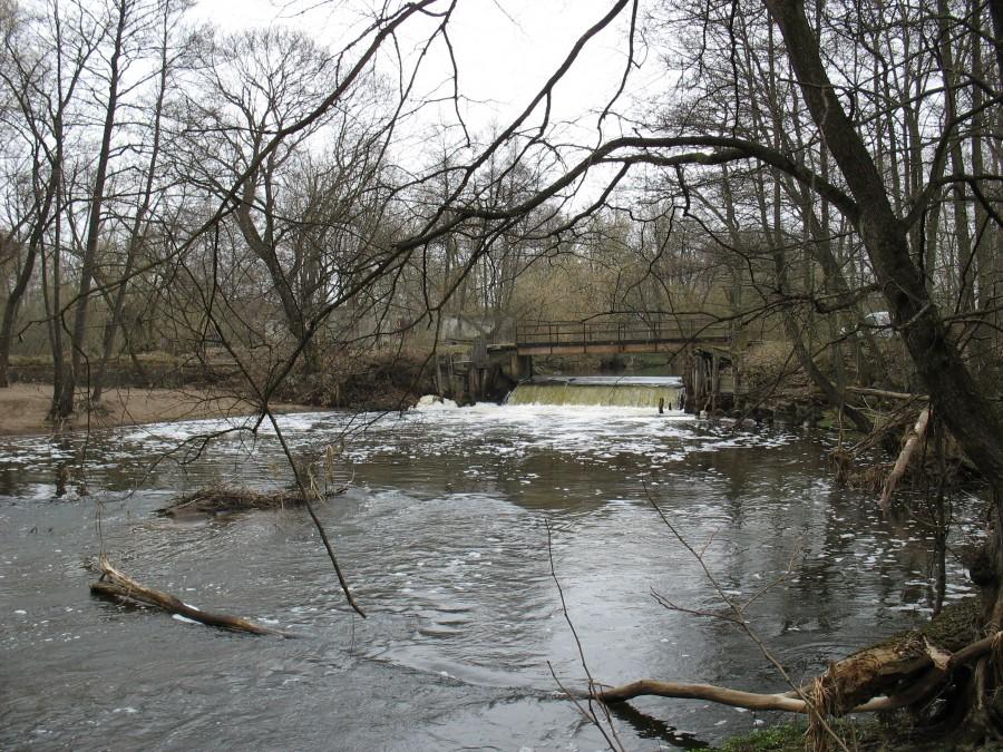 Tarachowizna