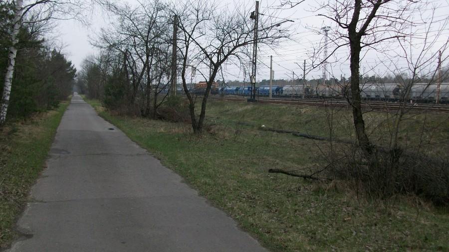ściezka do Gołębia
