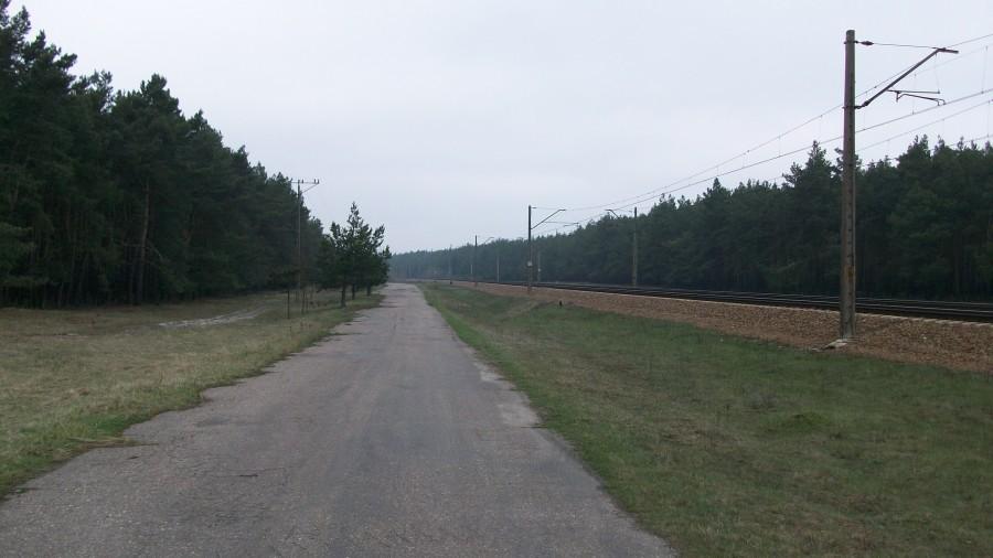 ścieżka do Gołębia