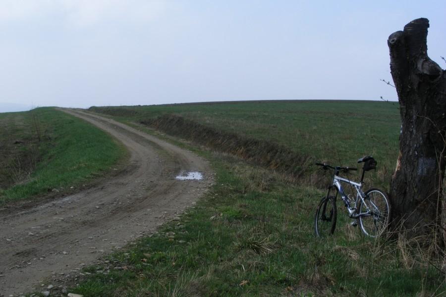 Na Borówkach